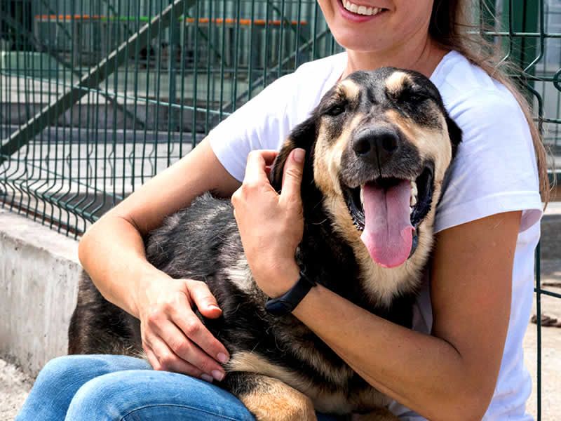 Alain Dubois entrenador canino en CDMX y Estado de Mexico