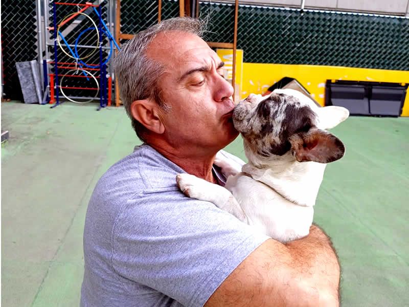 Alain Dubois entrenador canino en CDMX y Estado de Mexico
