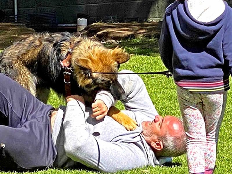 Alain Dubois entrenador canino en CDMX y Estado de Mexico