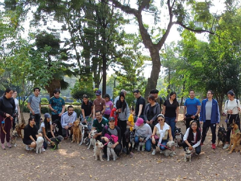 Alain Dubois entrenador canino en CDMX y Estado de Mexico