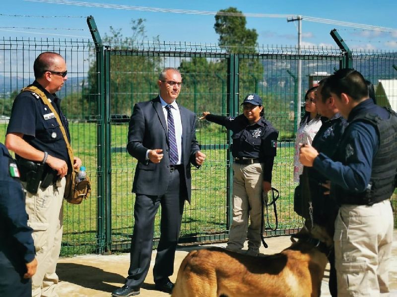 Alain Dubois entrenador canino en CDMX y Estado de Mexico